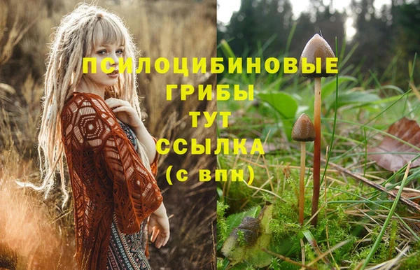 стафф Абинск