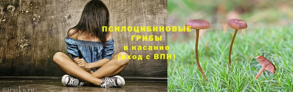 стафф Абинск