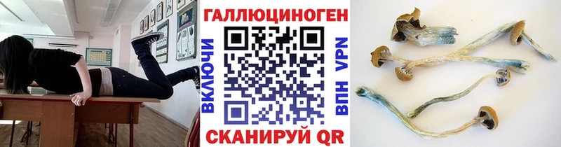Псилоцибиновые грибы ЛСД  цены   Кочубеевское 
